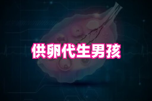 gfg孕网 2