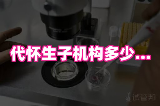 gfg孕网 4